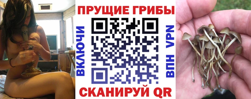 Галлюциногенные грибы MAGIC MUSHROOMS Циолковский